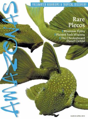 AMAZONAS Mar/Apr 2013: Rare Plecos