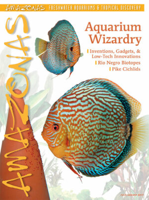 AMAZONAS Jul/Aug 2017: Aquarium Wizardry