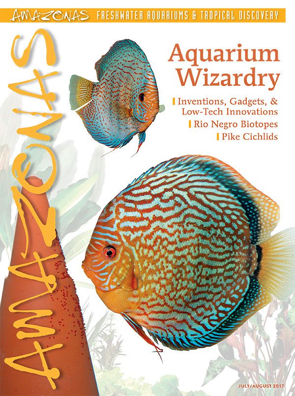 AMAZONAS Jul/Aug 2017: Aquarium Wizardry