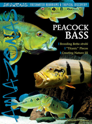 AMAZONAS Sep/Oct 2017: Peacock Bass