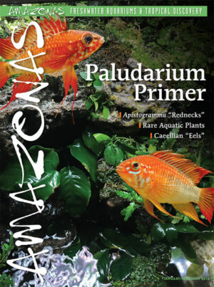 AMAZONAS Jan/Feb 2018: Paludarium Primer