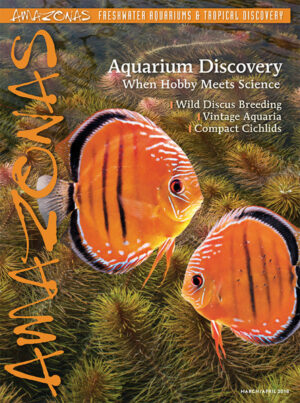 AMAZONAS Mar/Apr 2018: Aquarium Discovery