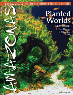 AMAZONAS Mar/Apr 2016: Planted Worlds