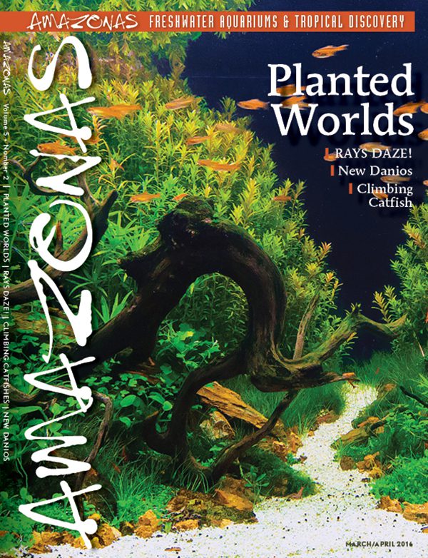 AMAZONAS Mar/Apr 2016: Planted Worlds