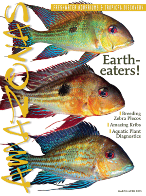 AMAZONAS Mar/Apr 2015: Eartheaters