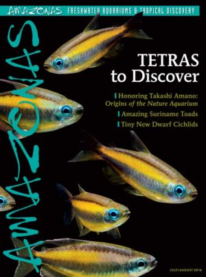 AMAZONAS Jul/Aug 2016: TETRAS to Discover