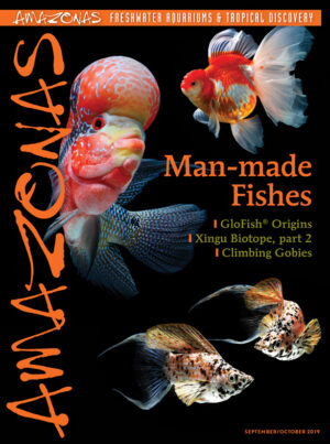 AMAZONAS Sep/Oct 2019: Man-made Fishes