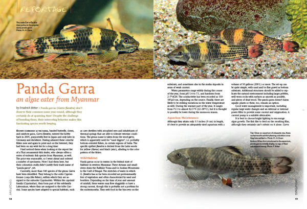 AMAZONAS Sep/Oct 2019: Man-made Fishes - Image 3