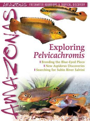 AMAZONAS Nov/Dec 2019: Exploring Pelvicachromis