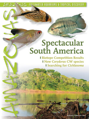 AMAZONAS Jan/Feb 2020: Spectacular South America