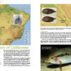 AMAZONAS Jan/Feb 2020: Spectacular South America - Image 3
