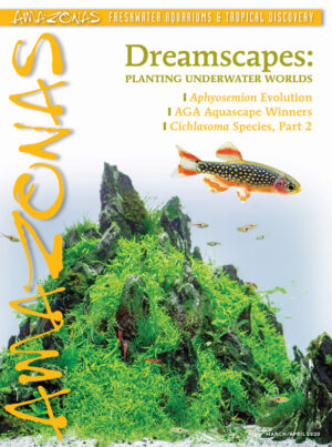 AMAZONAS Mar/Apr 2020: Dreamscapes: Planting Underwater Worlds