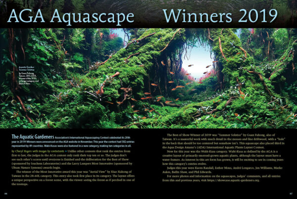 AMAZONAS Mar/Apr 2020: Dreamscapes: Planting Underwater Worlds - Image 4