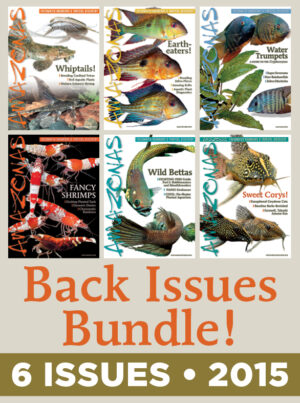 AMAZONAS Magazine Back Issue Bundle - 2015