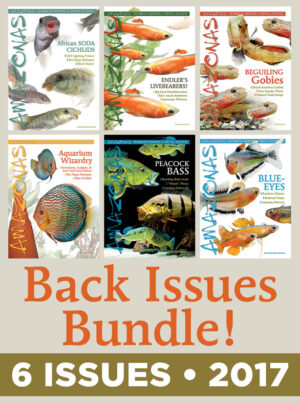 AMAZONAS Magazine Back Issue Bundle - 2017