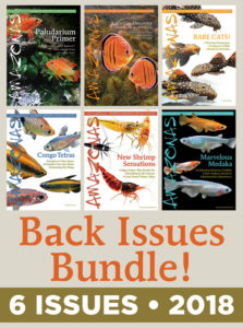 AMAZONAS Magazine Back Issue Bundle - 2018