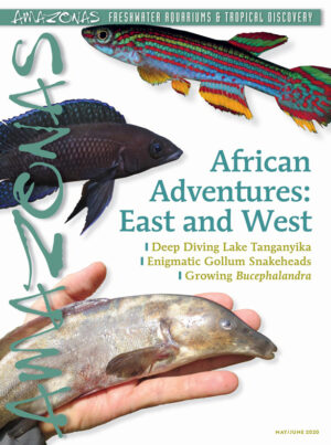 AMAZONAS May/Jun 2020: African Adventures: East and West