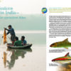 AMAZONAS July/Aug 2020: Boisterous Barbs - Image 2