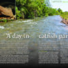 AMAZONAS July/Aug 2020: Boisterous Barbs - Image 4