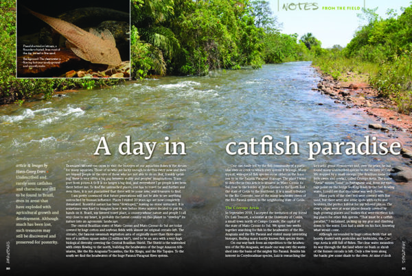 AMAZONAS July/Aug 2020: Boisterous Barbs - Image 4