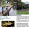 AMAZONAS Sep/Oct 2020: MEXICO – Depths of Diversity - Image 2