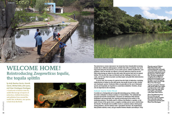AMAZONAS Sep/Oct 2020: MEXICO – Depths of Diversity - Image 2