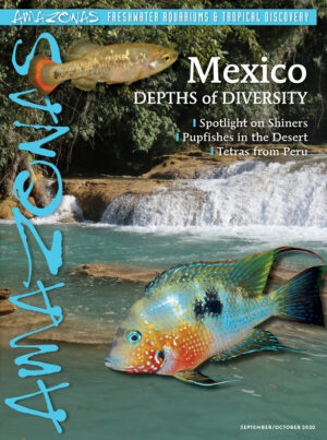 AMAZONAS Sep/Oct 2020: MEXICO – Depths of Diversity