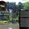 AMAZONAS Sep/Oct 2020: MEXICO – Depths of Diversity - Image 4