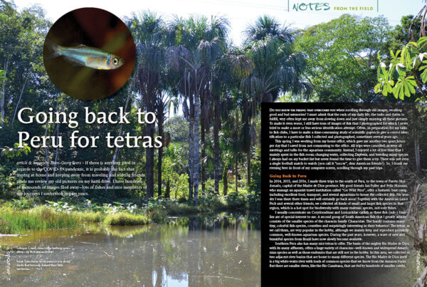 AMAZONAS Sep/Oct 2020: MEXICO – Depths of Diversity - Image 4