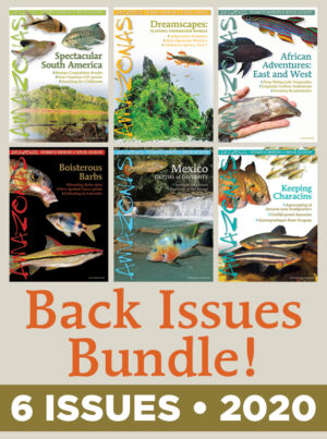 AMAZONAS 2020: Back Issue 6-Pack