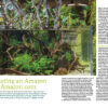 AMAZONAS Nov/Dec 2020: Keeping Characins - Image 4
