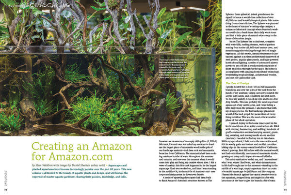 AMAZONAS Nov/Dec 2020: Keeping Characins - Image 4