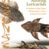 Click cover to order this back issue for your AMAZONAS collection.