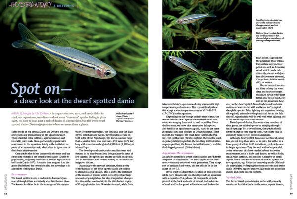 AMAZONAS Mar/Apr 2021: Spiny Eels - Image 3