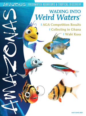 AMAZONAS May/Jun 2021: Wading Into Weird Waters®