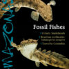 AMAZONAS Jul/Aug 2021: Fossil Fishes