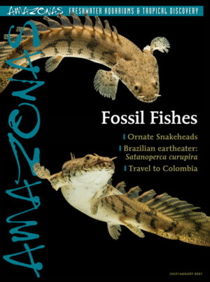 AMAZONAS Jul/Aug 2021: Fossil Fishes