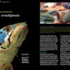 AMAZONAS Jul/Aug 2021: Fossil Fishes - Image 6