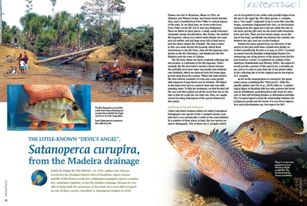 AMAZONAS Jul/Aug 2021: Fossil Fishes - Image 4