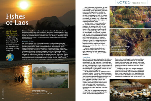 AMAZONAS Jul/Aug 2021: Fossil Fishes - Image 5