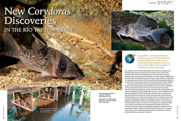 AMAZONAS Nov/Dec 2021: Keen on Corys - Image 3