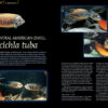 AMAZONAS Nov/Dec 2021: Keen on Corys - Image 4