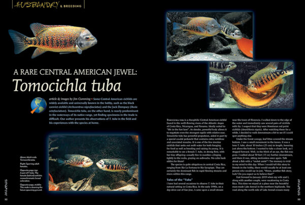 AMAZONAS Nov/Dec 2021: Keen on Corys - Image 4