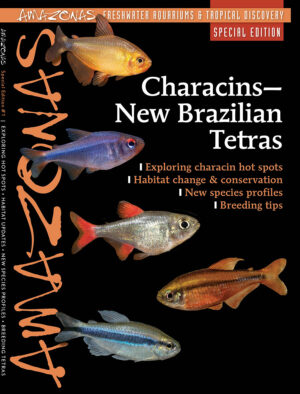 AMAZONAS Special Editions