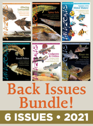 AMAZONAS 2021: Back Issue 6-Pack