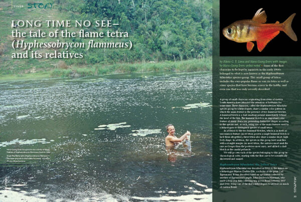 AMAZONAS Special Edition 1: Characins—New Brazilian Tetras - Image 7
