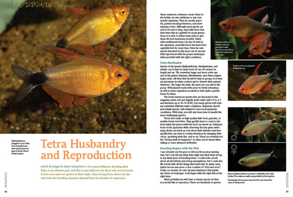 AMAZONAS Special Edition 1: Characins—New Brazilian Tetras - Image 9