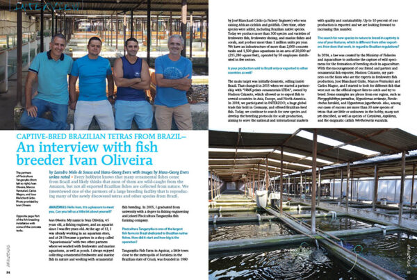AMAZONAS Special Edition 1: Characins—New Brazilian Tetras - Image 4