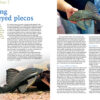 AMAZONAS Jan/Feb 2022: Freshwater Flatfishes - Image 3