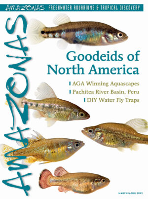 AMAZONAS Mar/Apr 2022: Goodeids of North America